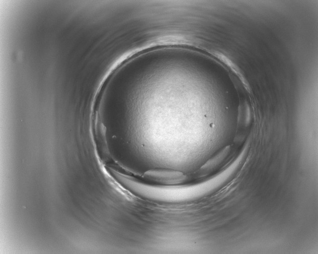 X0000066091342200603101156