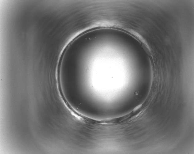 X0000066091343200603101156