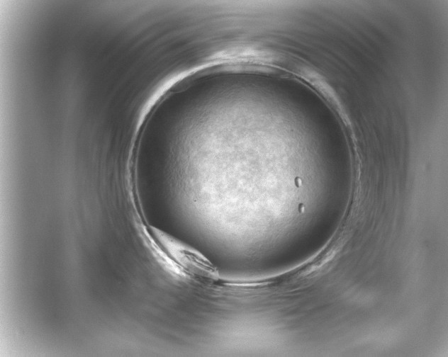 X0000066091344200603101156