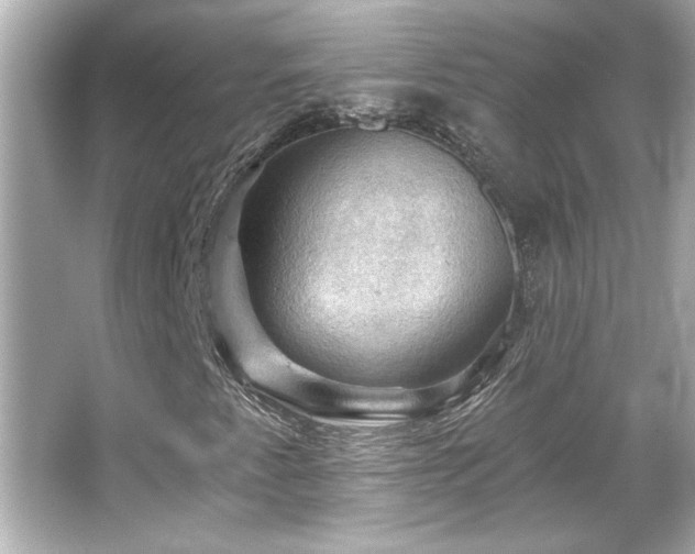 X0000066091345200603101155