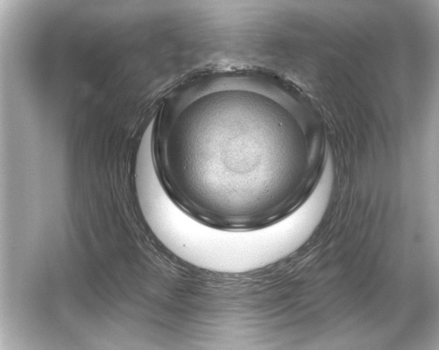 X0000066091348200603101155