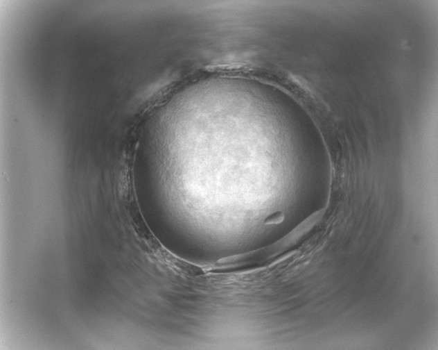 X0000066091350200603101155