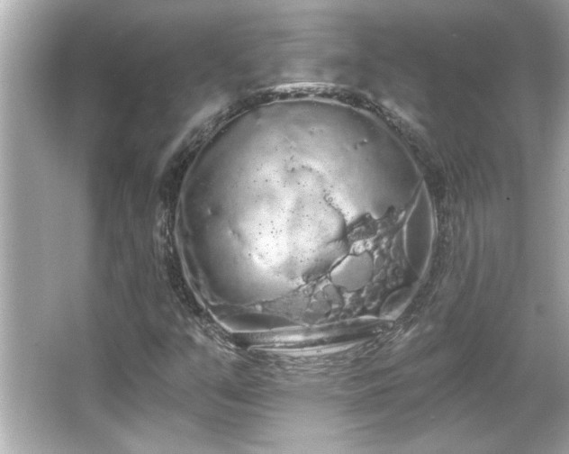 X0000066091351200603101155