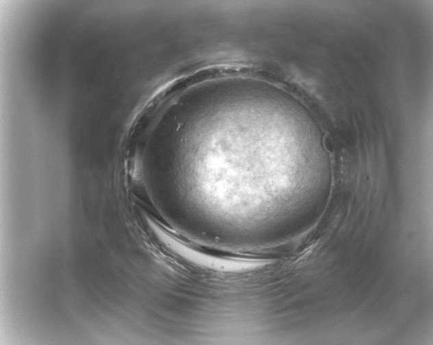 X0000066091352200603101155