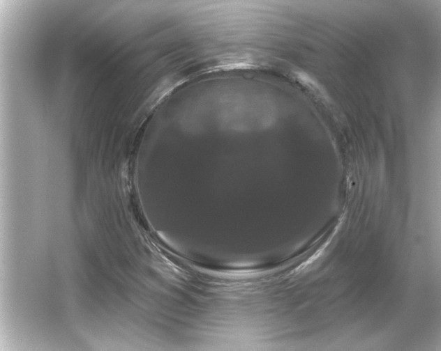 X0000066091353200603101155