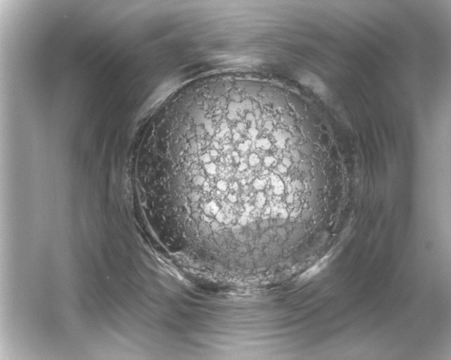 X0000066091354200603101155