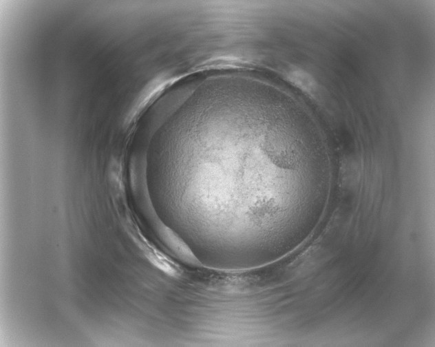 X0000066091355200603101155