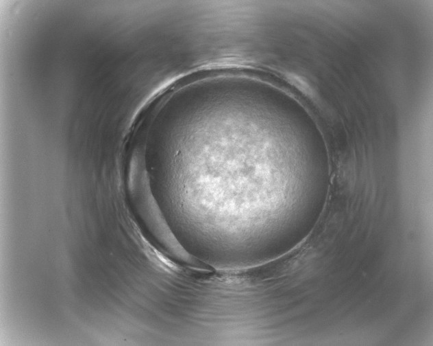 X0000066091356200603101155