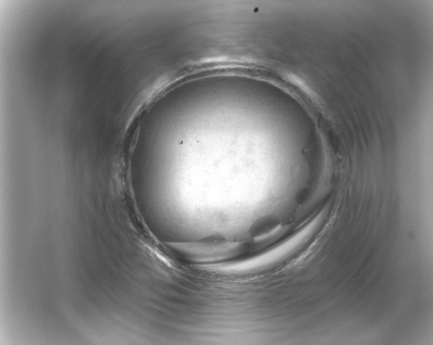 X0000066091357200603101155