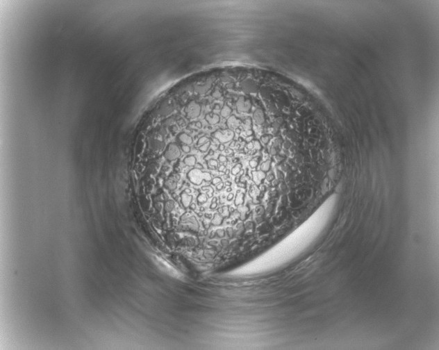 X0000066091359200603101155