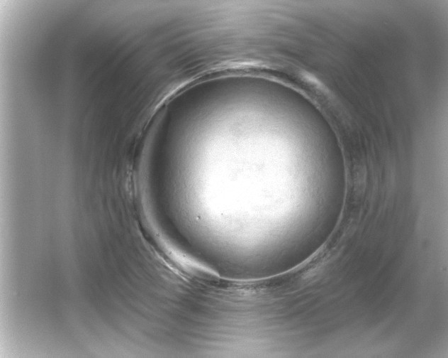 X0000066091361200603101155