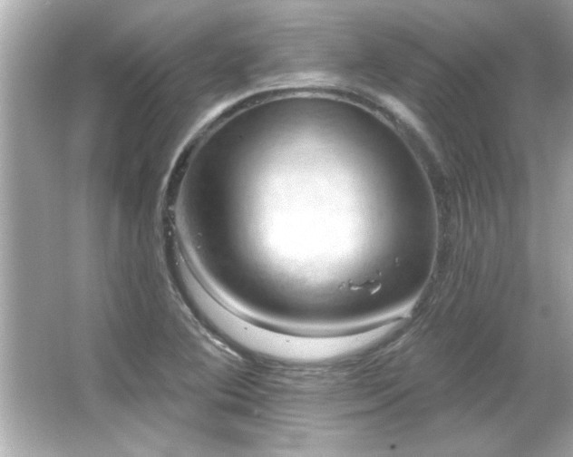 X0000066091364200603101155