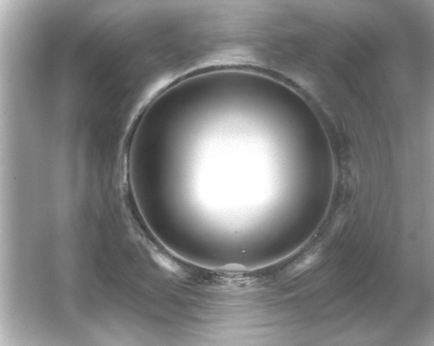 X0000066091366200603101155