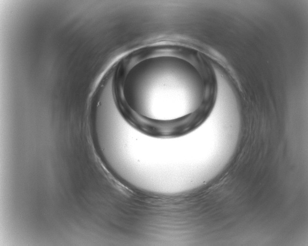 X0000066091368200603101155