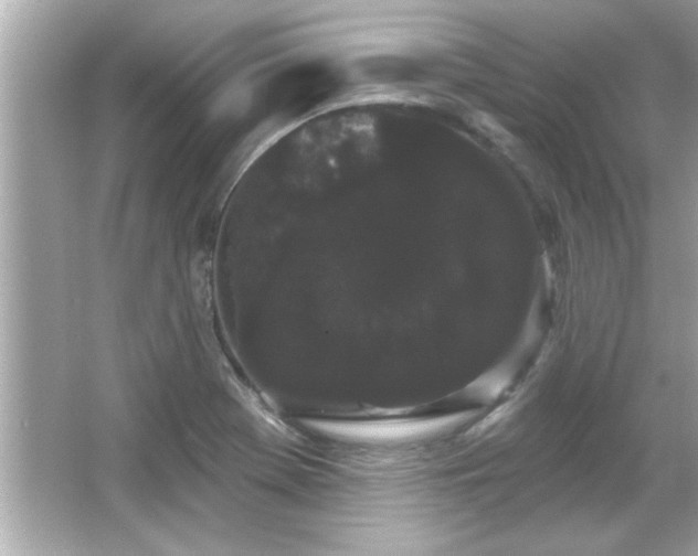 X0000066091369200603101155