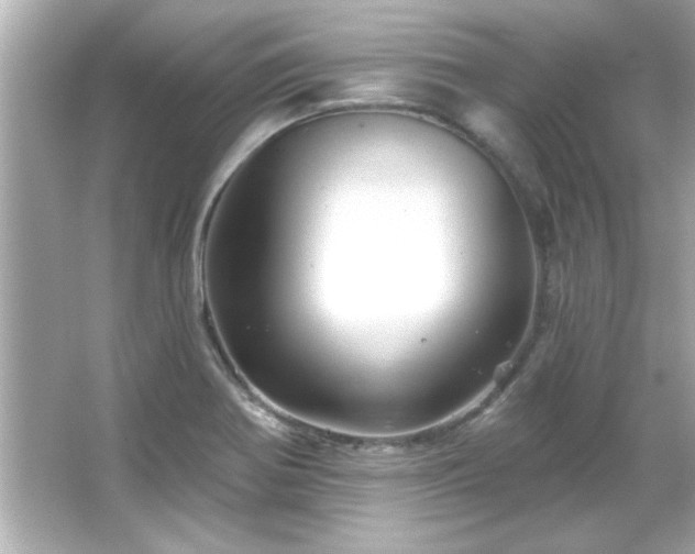 X0000066091370200603101155