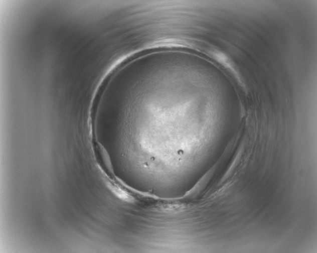 X0000066091372200603101155