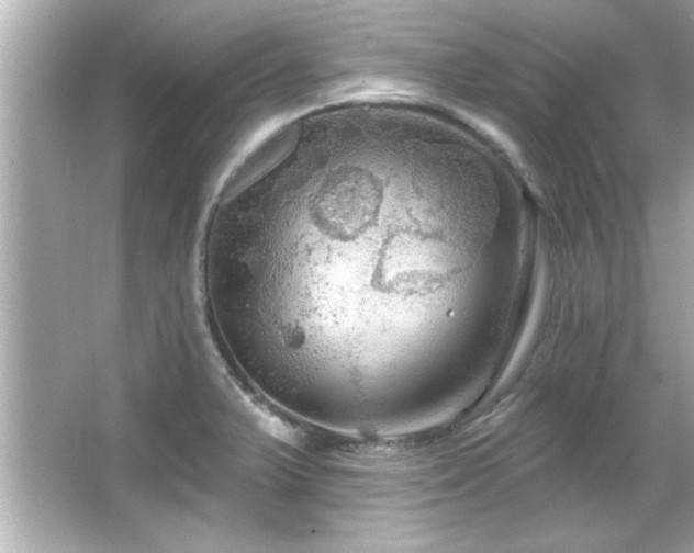 X0000066091375200603101155