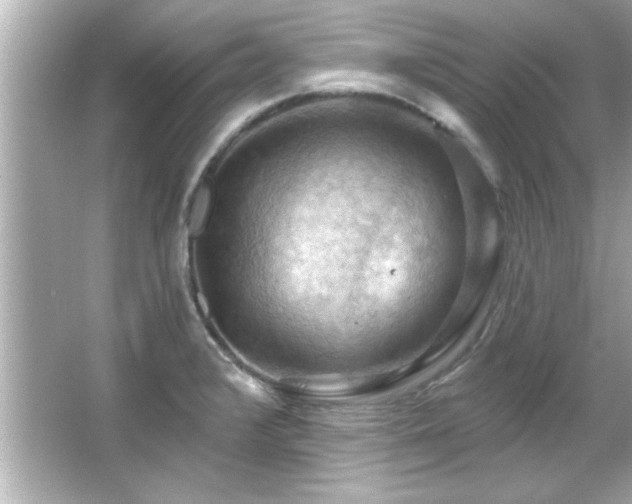 X0000066091376200603101155