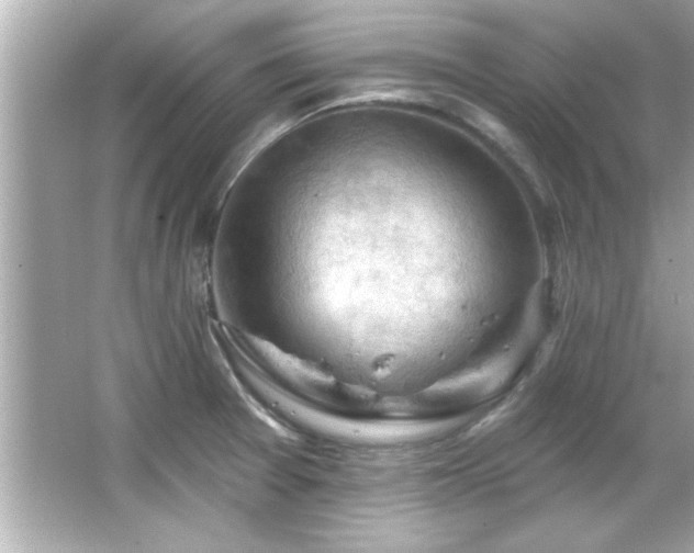 X0000066091377200603101155