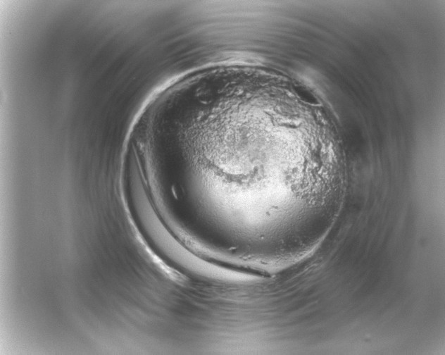 X0000066091379200603101155