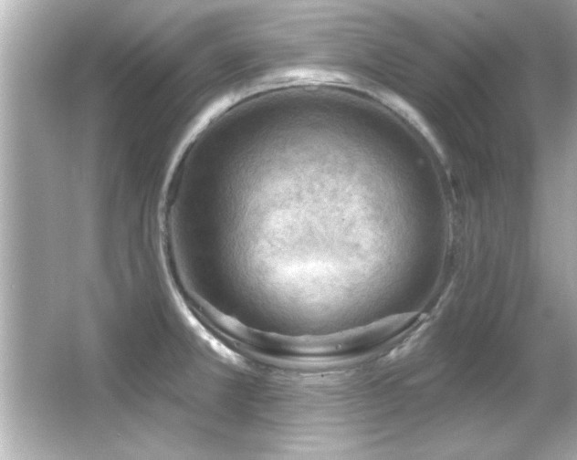 X0000066091381200603101155