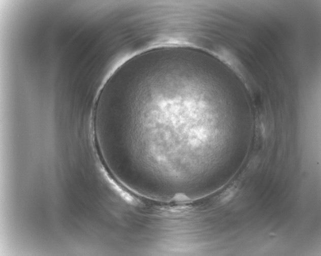 X0000066091382200603101155