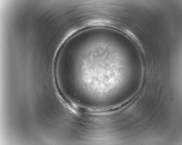 X0000066091384200603101155