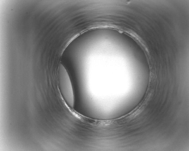 X0000066091385200603101155