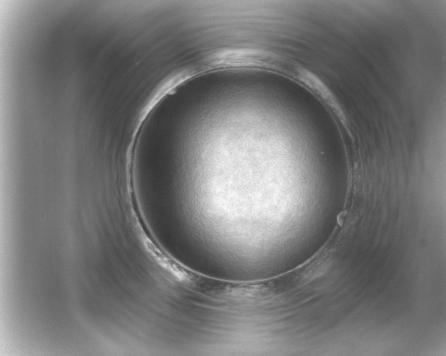 X0000066091386200603101155