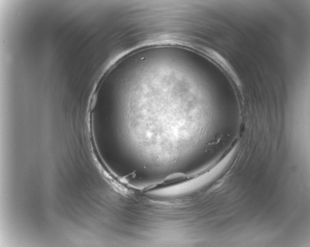 X0000066091388200603101155