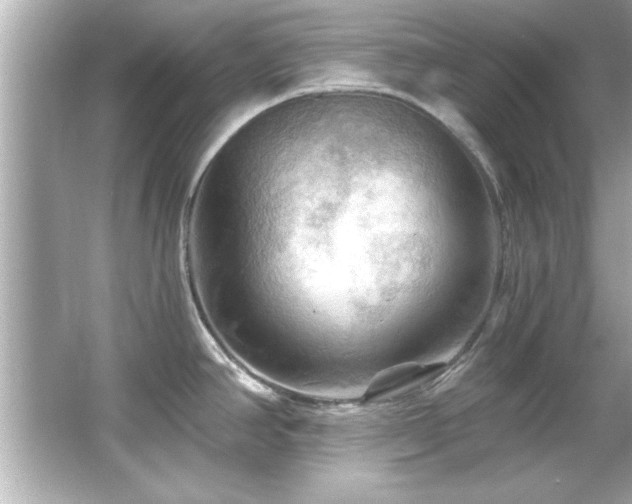 X0000066091390200603101155