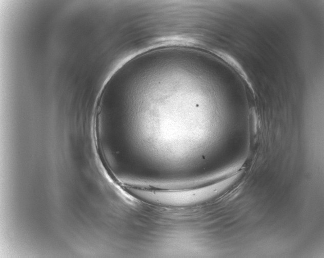 X0000066091391200603101155