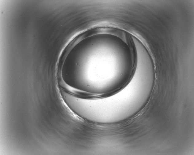 X0000066091392200603101155