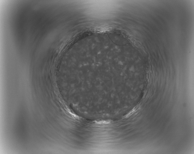 X0000066091393200603101154