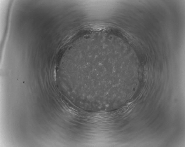 X0000066091394200603101154