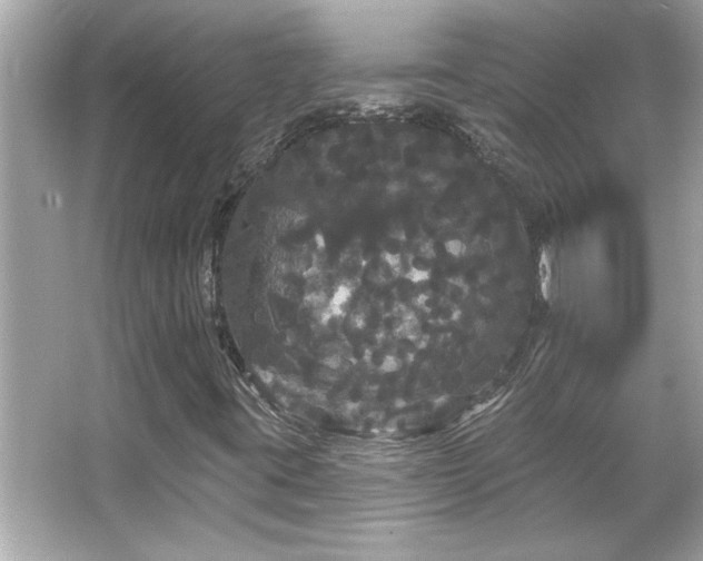 X0000066091395200603101154