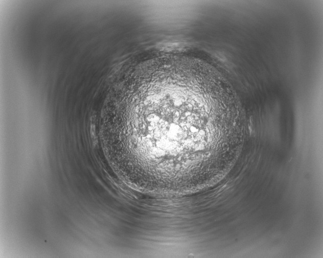 X0000066091396200603101154