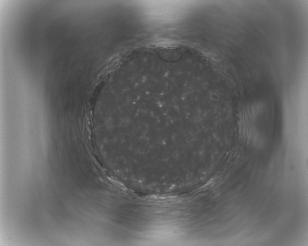 X0000066091397200603101154