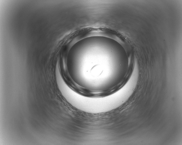 X0000066091398200603101154