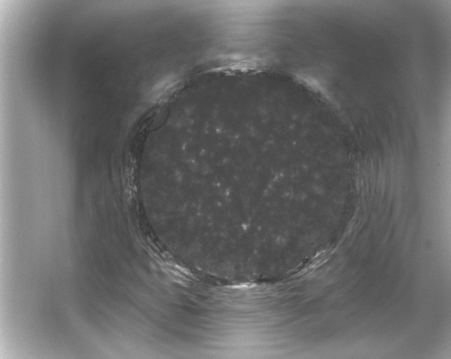 X0000066091399200603101154