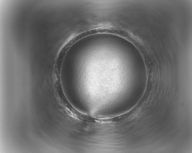 X0000066091400200603101154