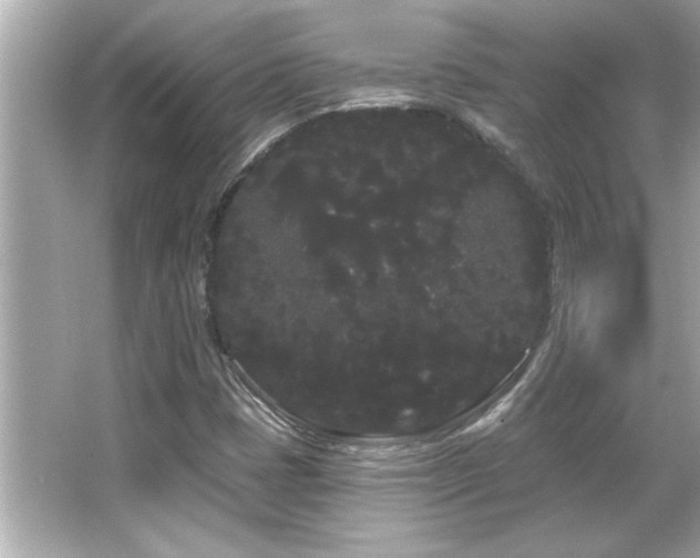 X0000066091401200603101154