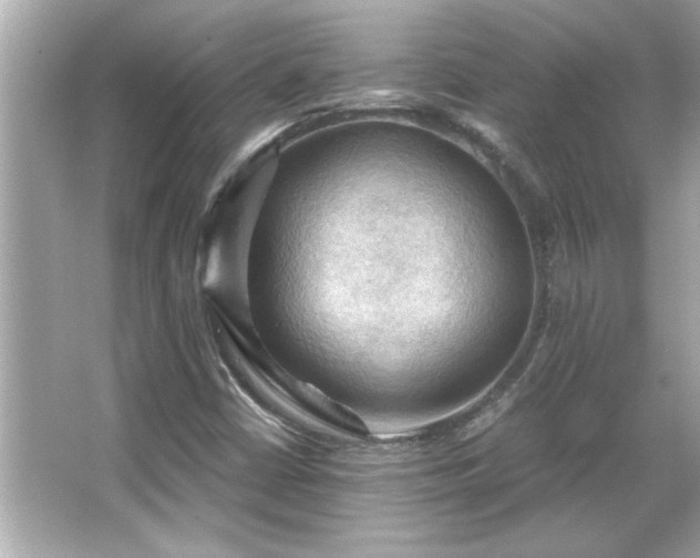 X0000066091402200603101154