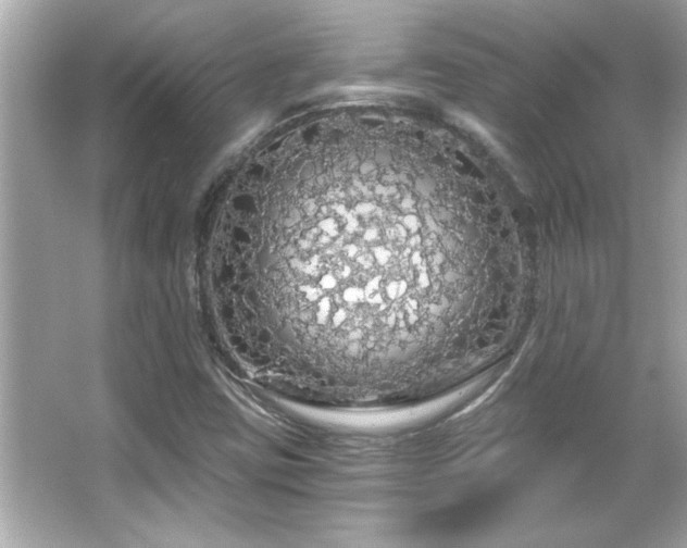 X0000066091403200603101154