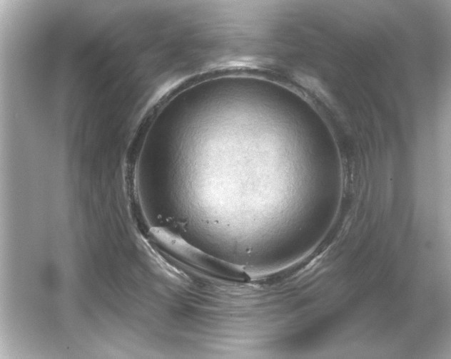 X0000066091404200603101154