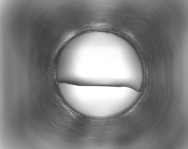 X0000066091405200603101154