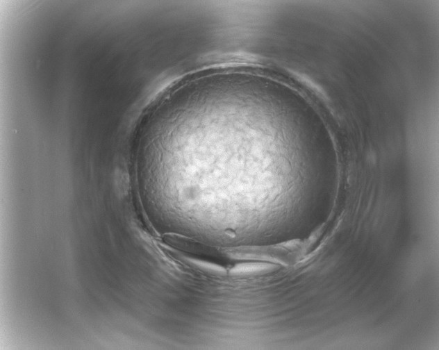 X0000066091407200603101154