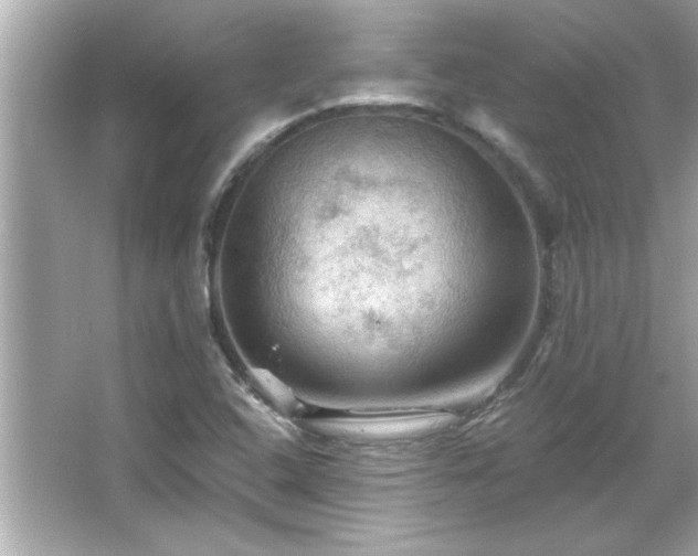 X0000066091408200603101154