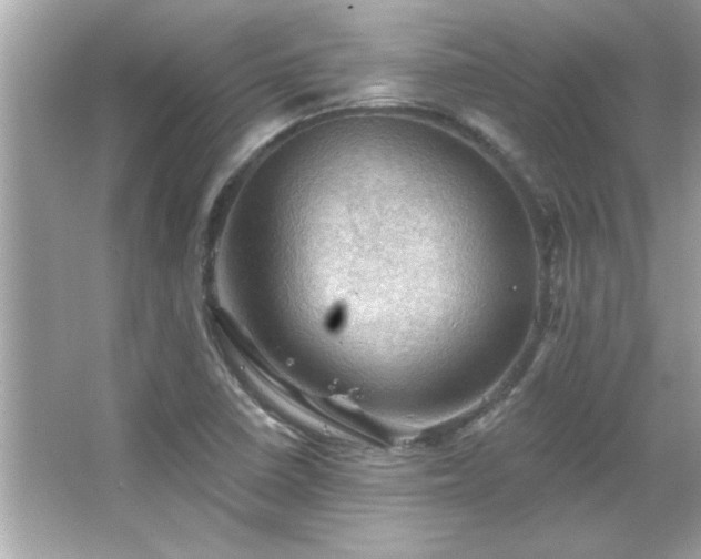 X0000066091410200603101154